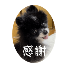 aoi_20230826034622
