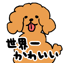 The sticker of brown toy poodle 3