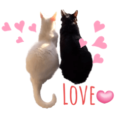 Mililani & Shirofuku