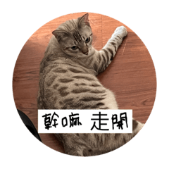 一雲和他的快樂朋友日常