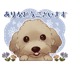 Petitbonheur Poodle Greeting Sticker
