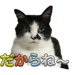 kana_20230827095603