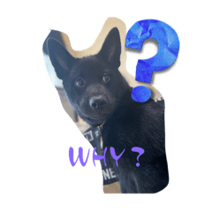 KURODAYO_20230826163452