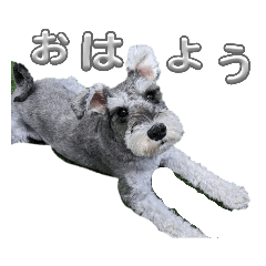 sunny_20230827085103