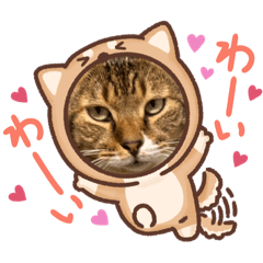 tomomi_20230826224803