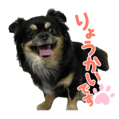 Kana_20230826232005
