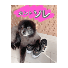 kayo_20230827132955