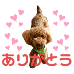 NAO_20230827130934