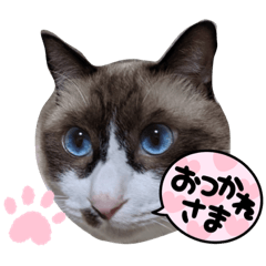 NAO_20230827113328