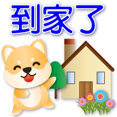 Cute Shiba Inu - Practical Greetings*.*