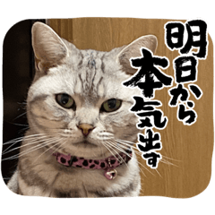 nao_20230827143921