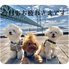 Sakura_20230827151407