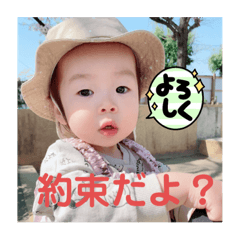 pigmon_20230827224731