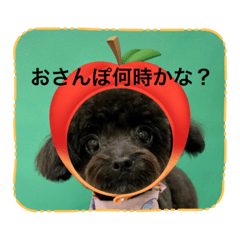 HANA_20230828084420