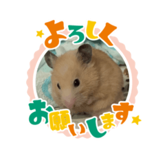 chocomint_20230827223101