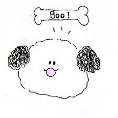 Shaggy puppy
