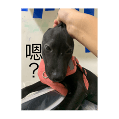 真的很累啦