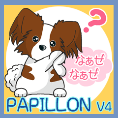 Papillon パピヨン Ver4