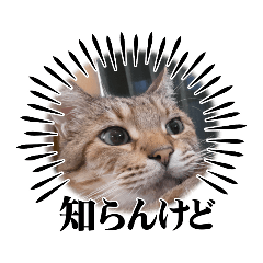 omochi_20230828111828