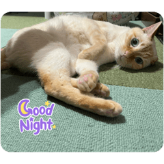 yuka_20230827203919