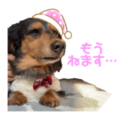 Natsumi_20230828003023