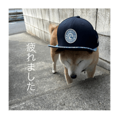 Ricky_20230828125321
