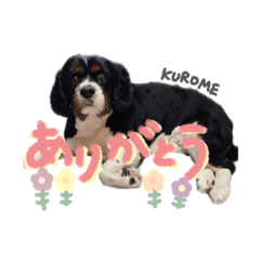 neruchan_20230828133532