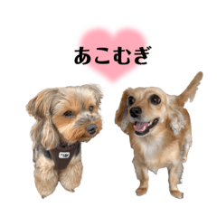 Arisa_20230828090133