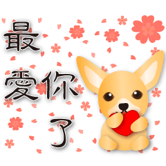 Cute Chihuahua-Lover's Sweet Practical