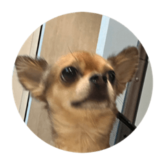 BB_20230827191728