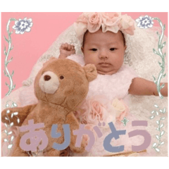 tanuki_20230829072031