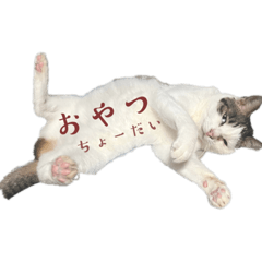 sakura_20230828145726