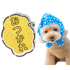 sakura_20230828193534