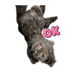 Nozomi_20230829062445