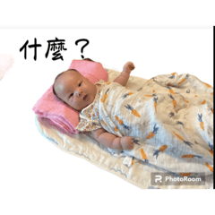 弈臻的個人貼圖