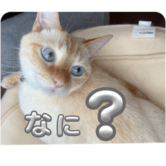 yuka_20230828144714