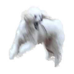 taki_20230828160015