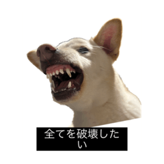 狂犬メンチ