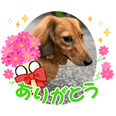 baburu_20230828201114