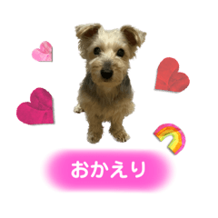 Hana_20230829030713