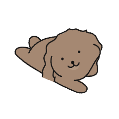 My name is Doyhodol, a brown toy poodle.