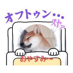 nozomi_20230828174547