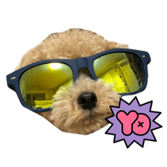 Tyatya._20230828224557