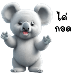 Cute Koala (Kum-muang)