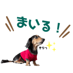 Natsumi_20230829003148