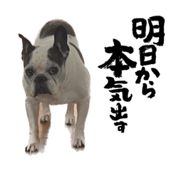 dog"s sticker2