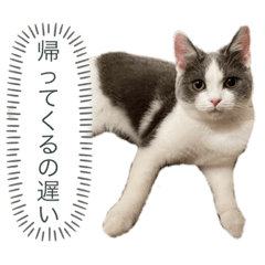 arisa_20230829095904