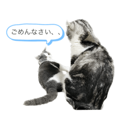 arisa_20230829131305