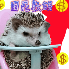 Araw-araw na Cute Healing Hedgehog-10