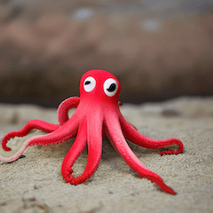 octopusnosuke5